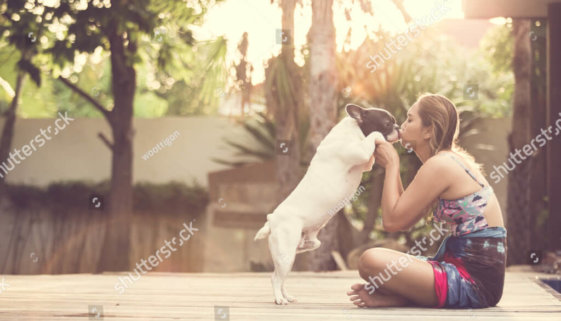 stock-photo-women-hugging-a-dog-and-kiss-them-playful-and-happiness-263118074
